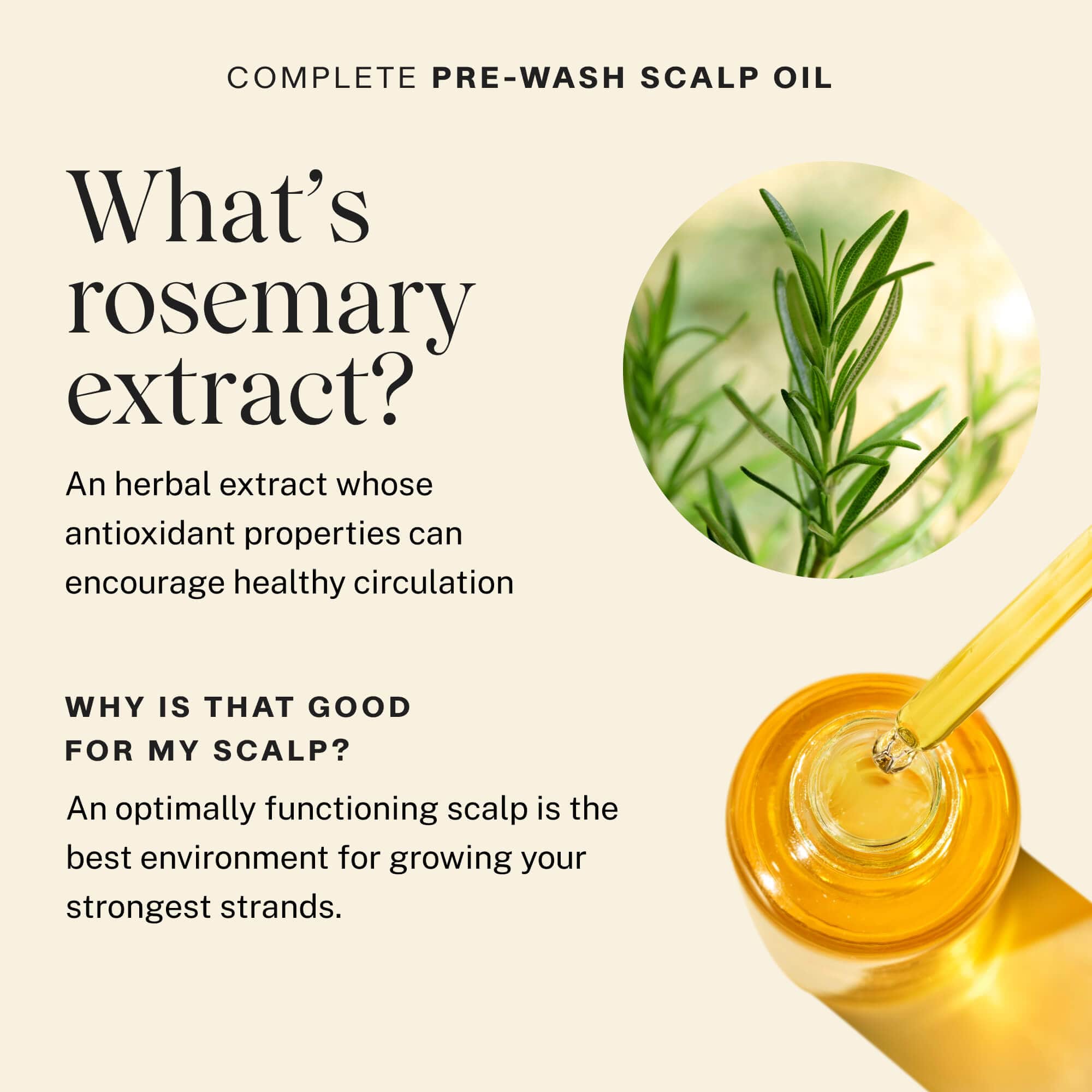 Rosemary and Pre-Was Scalp Oil bottle shown to explain benefits. What is Rosemary Extract? An herbal extract whose antioxidant properties can encourage healthy circulation. Why is that good for my scalp? an optimally functioning scalp is the best environment for growing your strongest strands.
